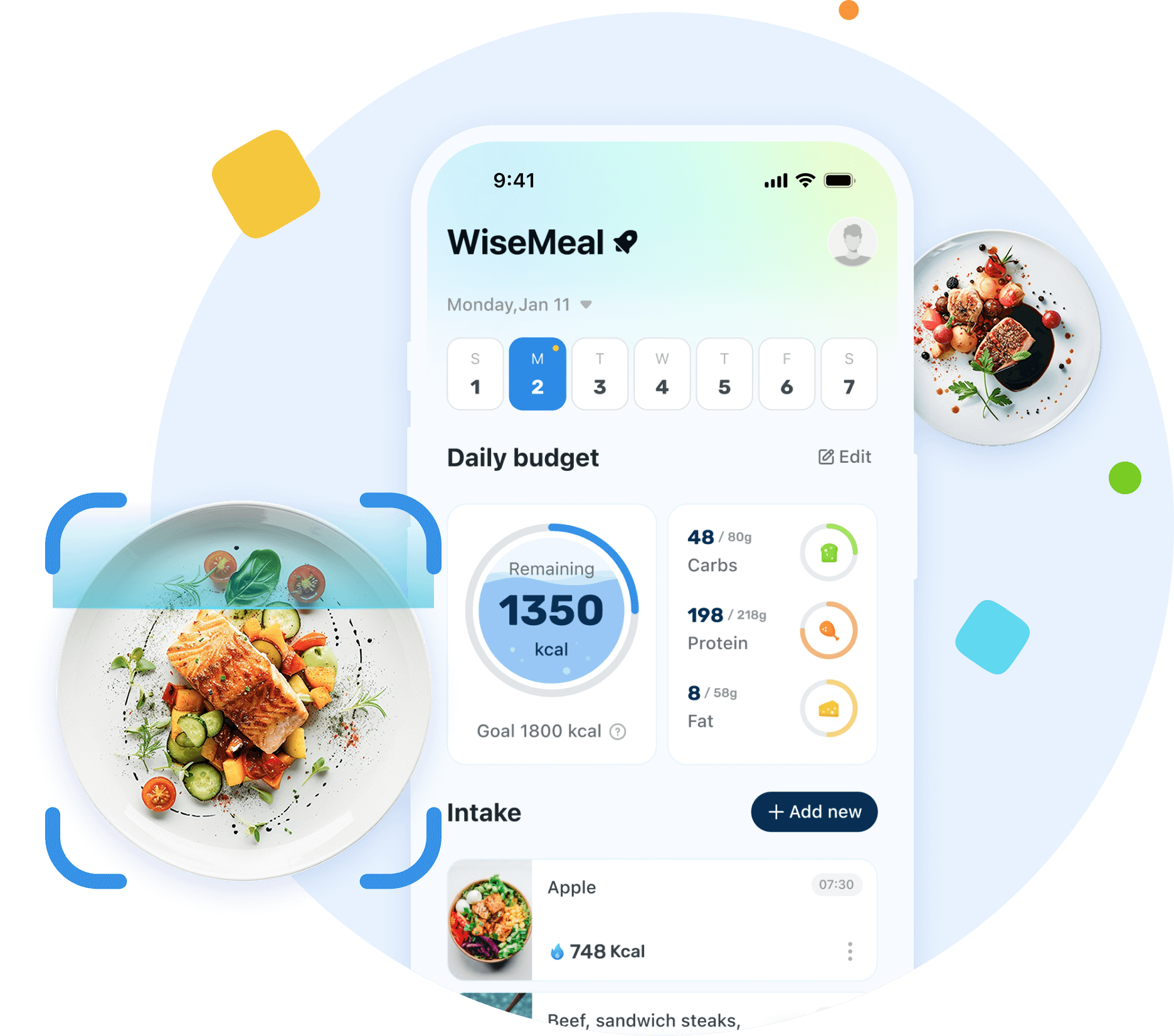 WiseMeal App Icon